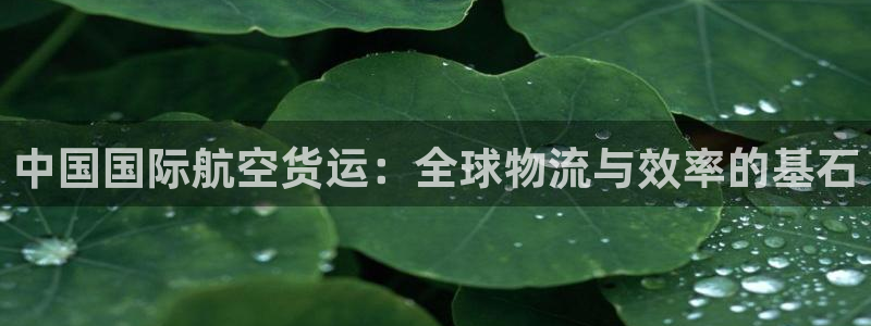 下载k豆钱包