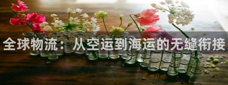 k豆钱包安卓版