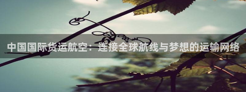 下载一个k豆钱包