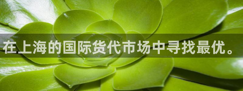 k豆钱包和购宝钱包